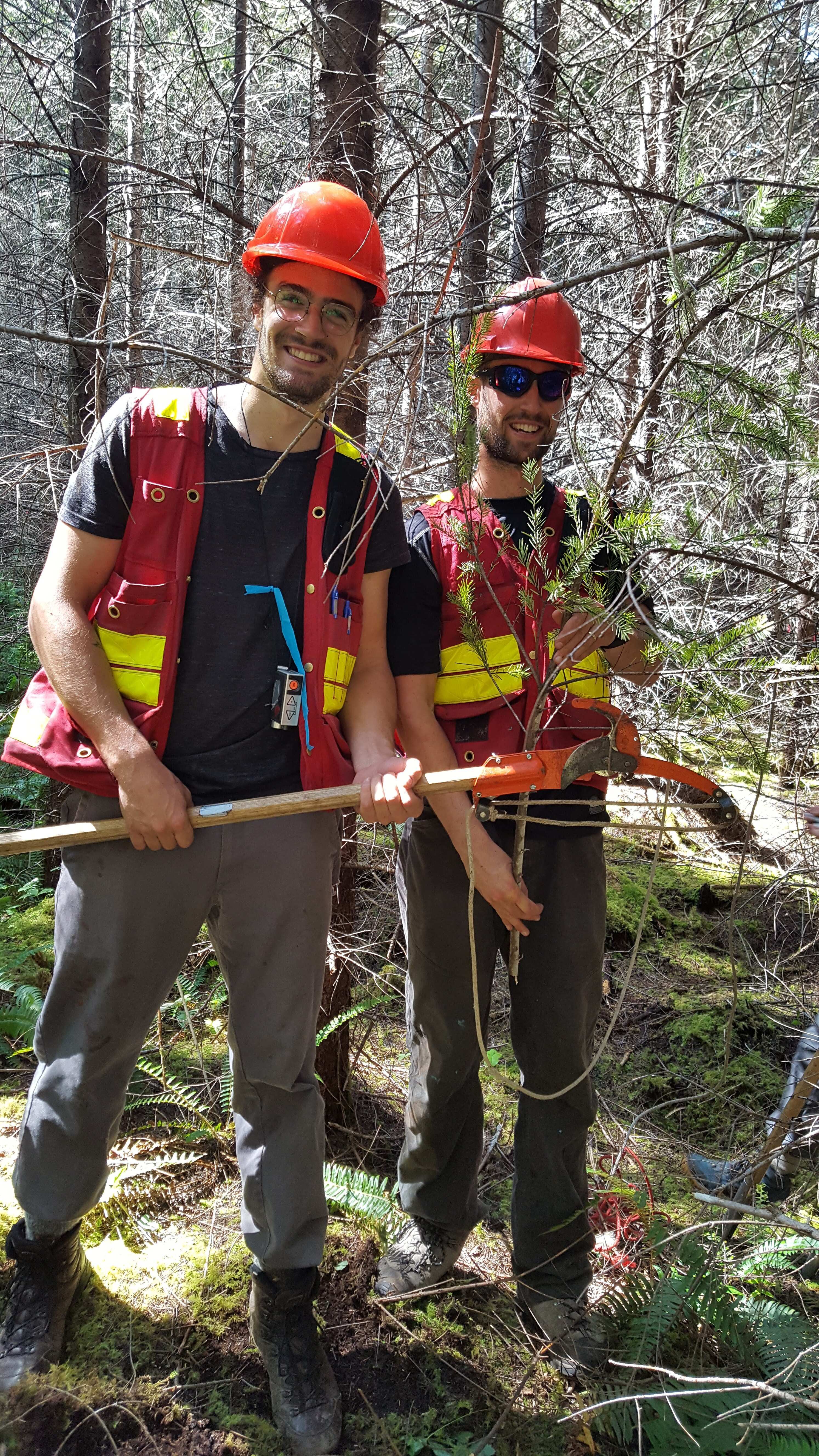 Felix and Paul pruning some trees.