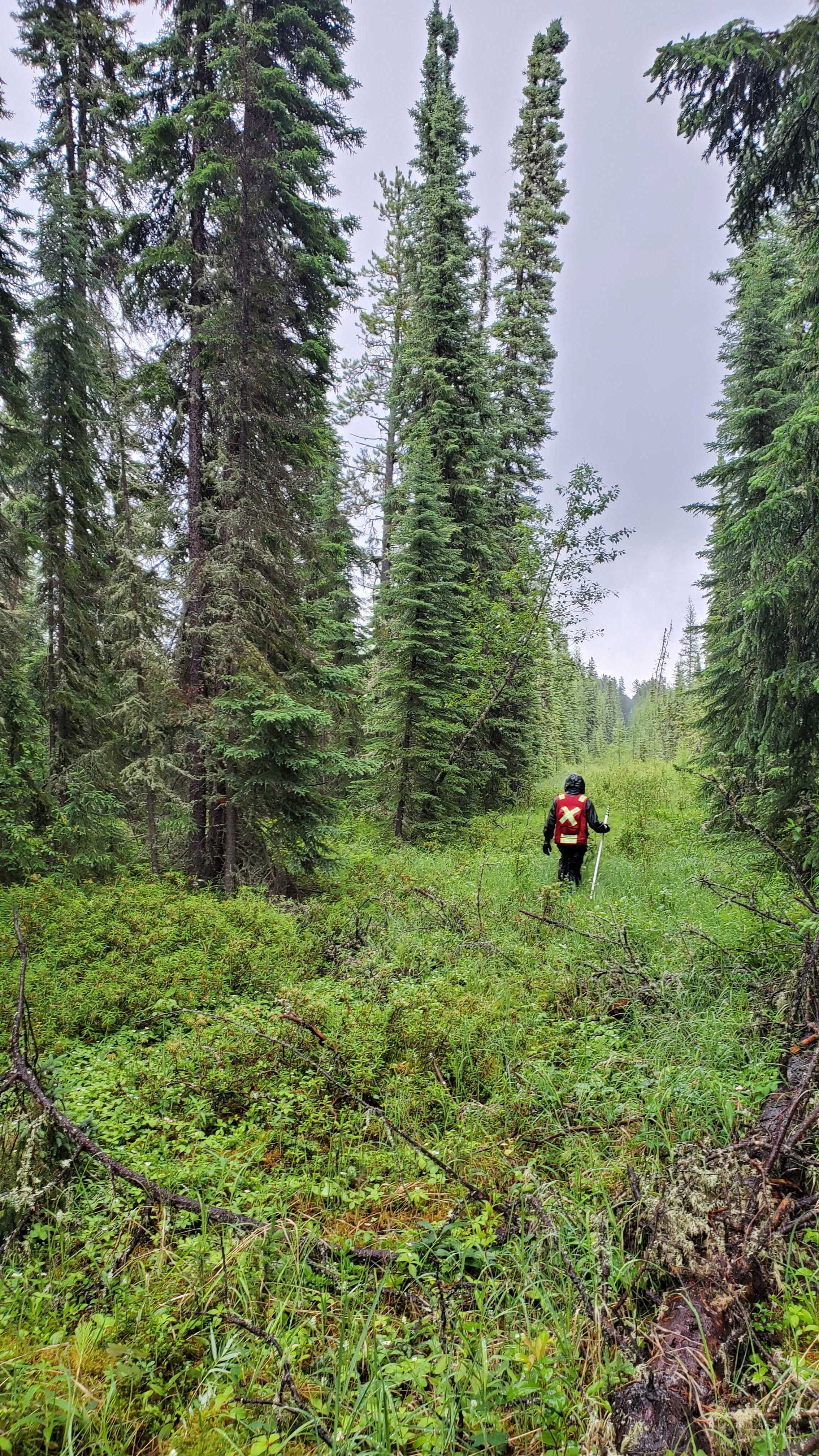 Andrew in the Albertan boreal.